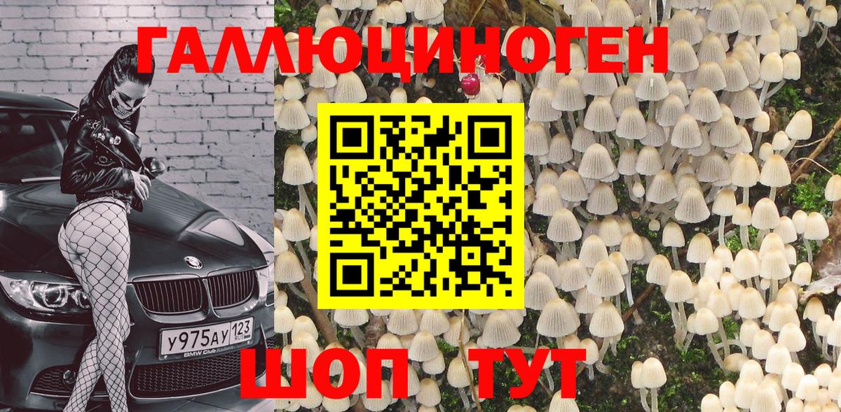 Галлюциногенные грибы MAGIC MUSHROOMS  Вход с VPN  Мирный  Псилоцибиновые грибы MAGIC MUSHROOMS 