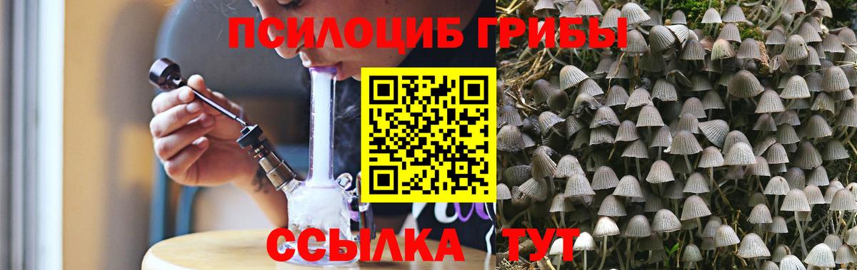 Галлюциногенные грибы Psilocybine cubensis Мирный
